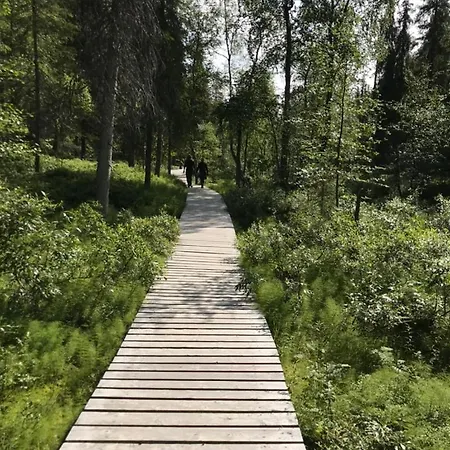 Kimmelvilla - Wilderness In Your Living Villa Pyhätunturi