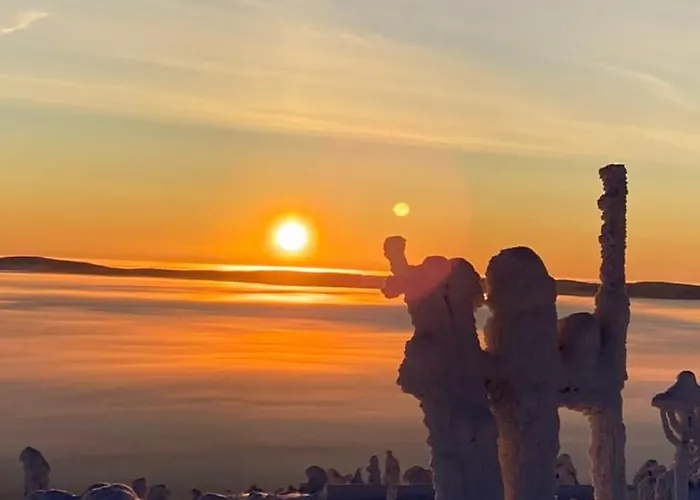 Kimmelvilla - Wilderness In Your Living Huvilat