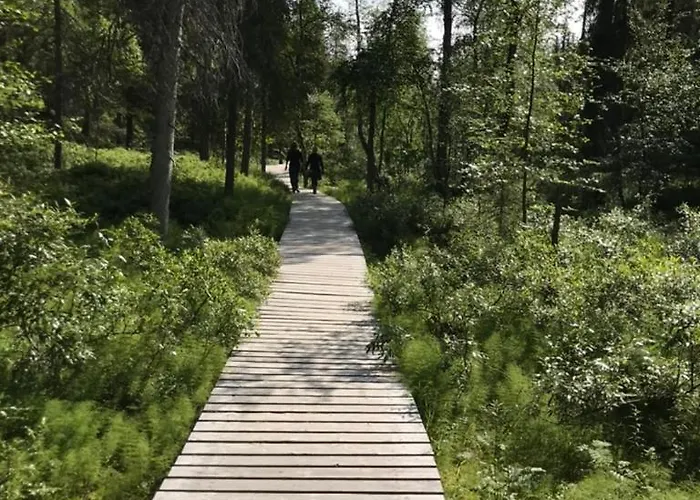 Kimmelvilla - Wilderness In Your Living Huvilat Pyhätunturi